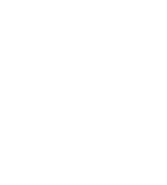 Viber Icon